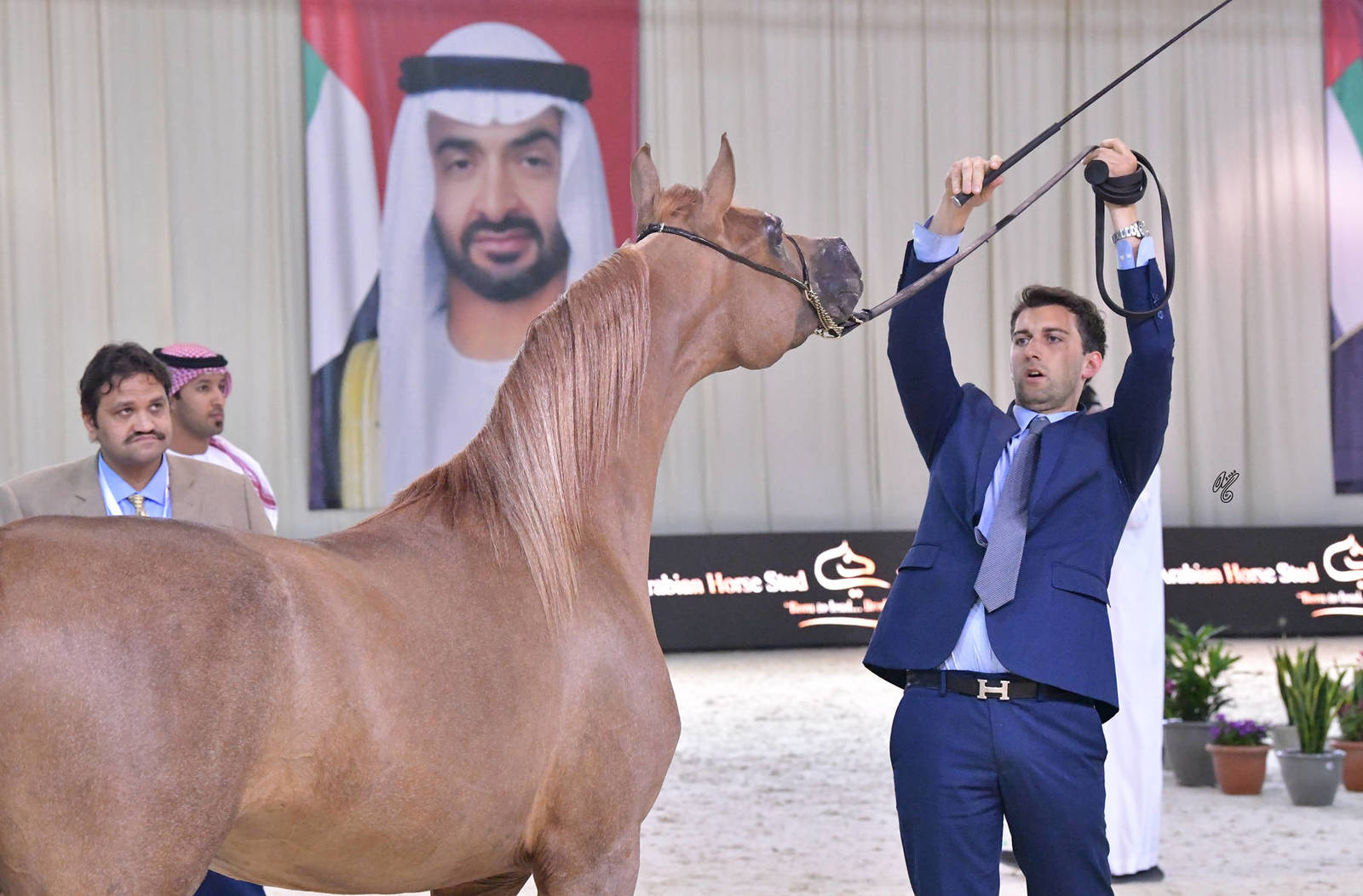 Colts 2 Years: JA Azaan Aljazeera