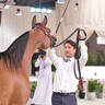 Mares 4 Years and Older: Thrwat Al Khamis 