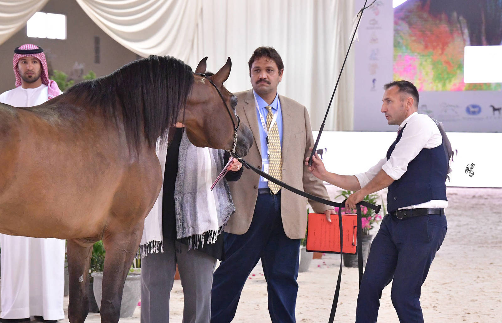 Mares 4 Years and Older: Eblaaj Al Gheed 