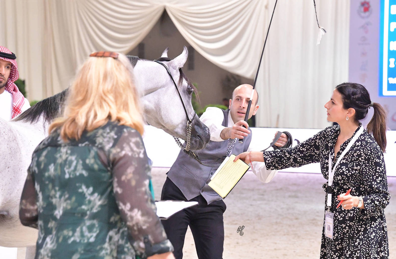 Mares 4 Years and Older: Lubna Al Firas