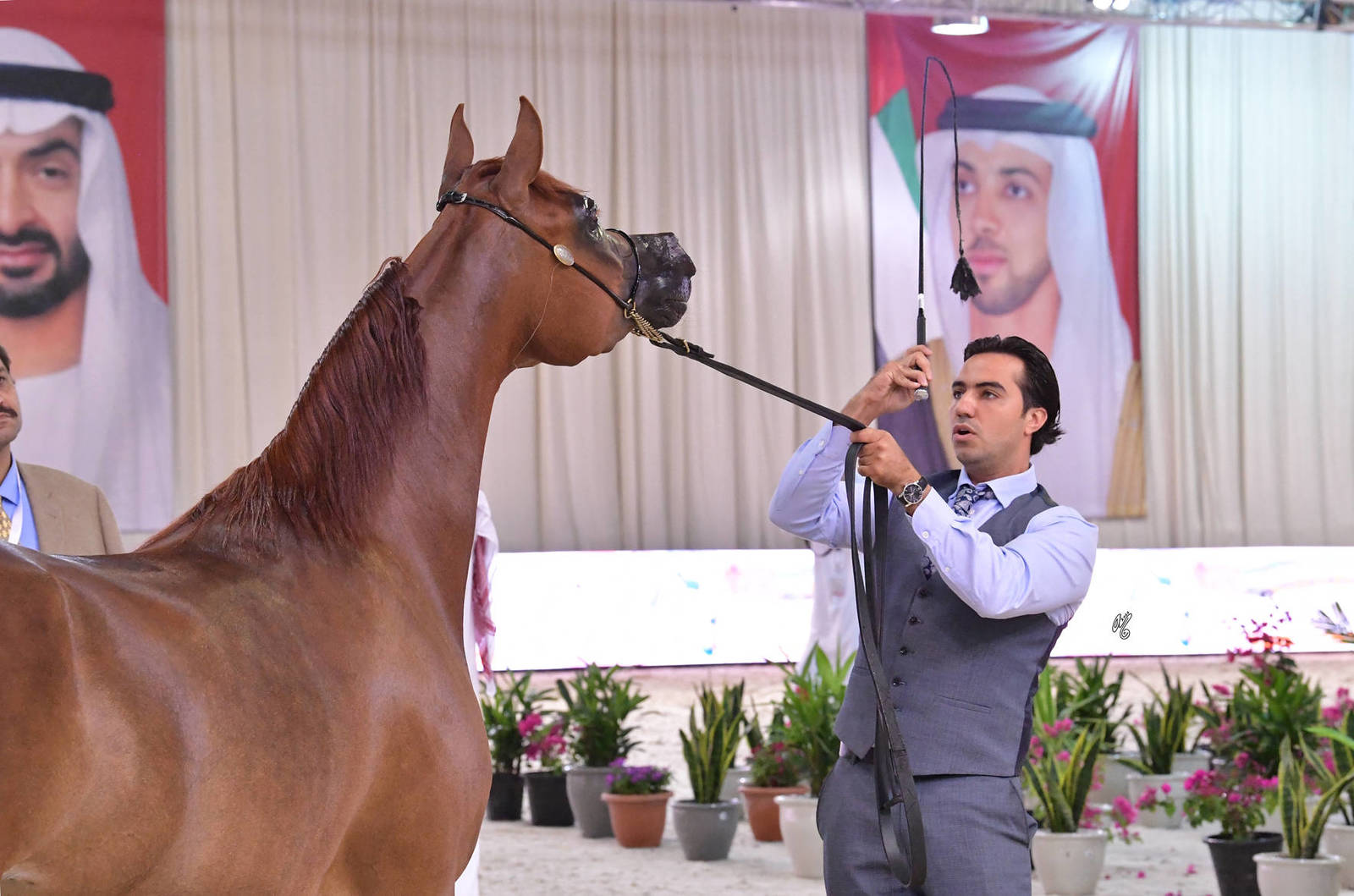 Fillies 3 Years: Sama Alabadla