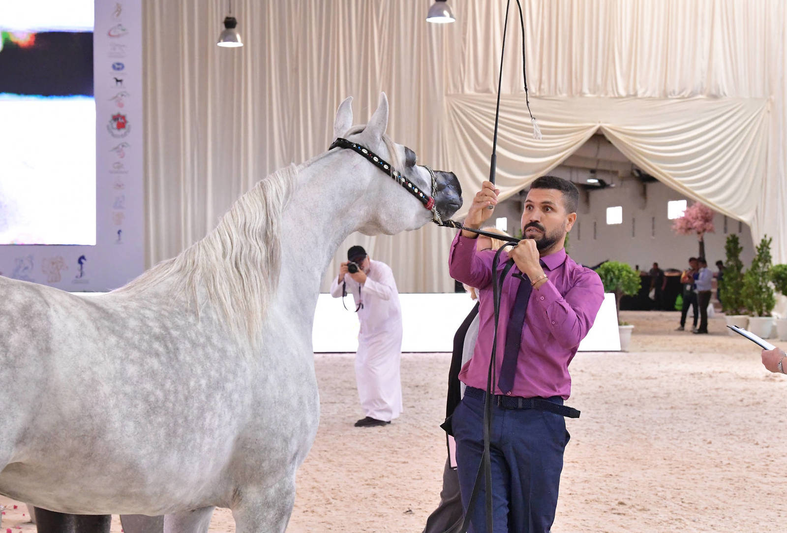 Fillies 3 Years: Reem Al Shafi 