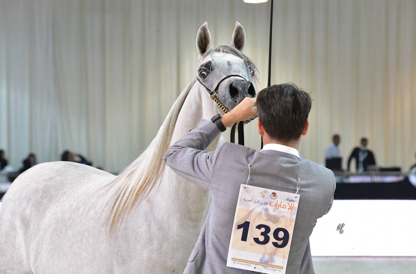 Fillies 2 Years: M.O Muntassira 