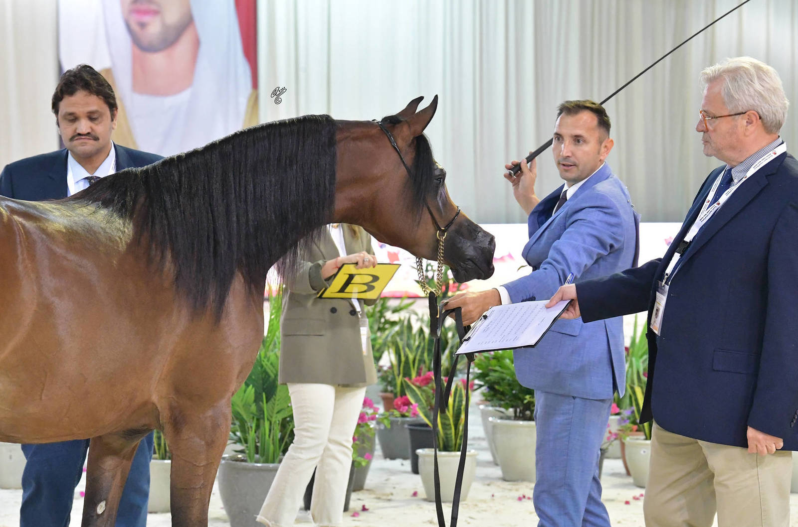 Fillies 2 Years: Dhabia K 