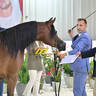 Fillies 2 Years: Dhabia K 