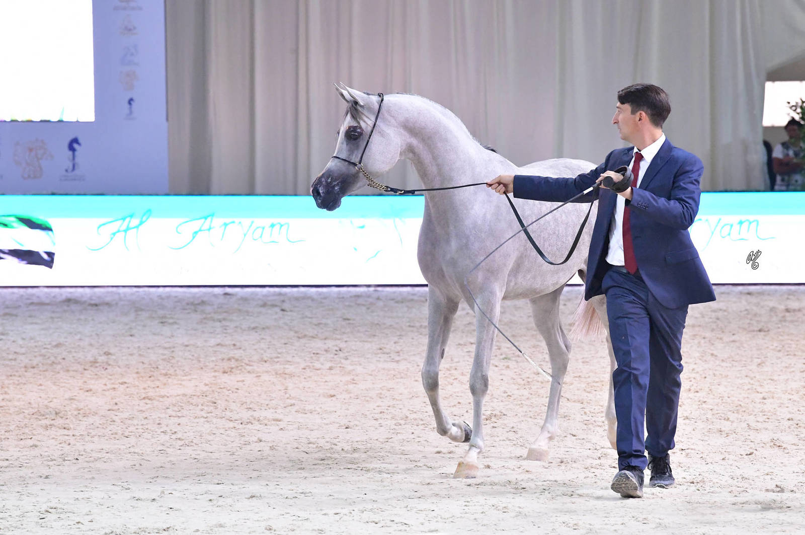 Fillies 2 Years: M.O Thameenah 