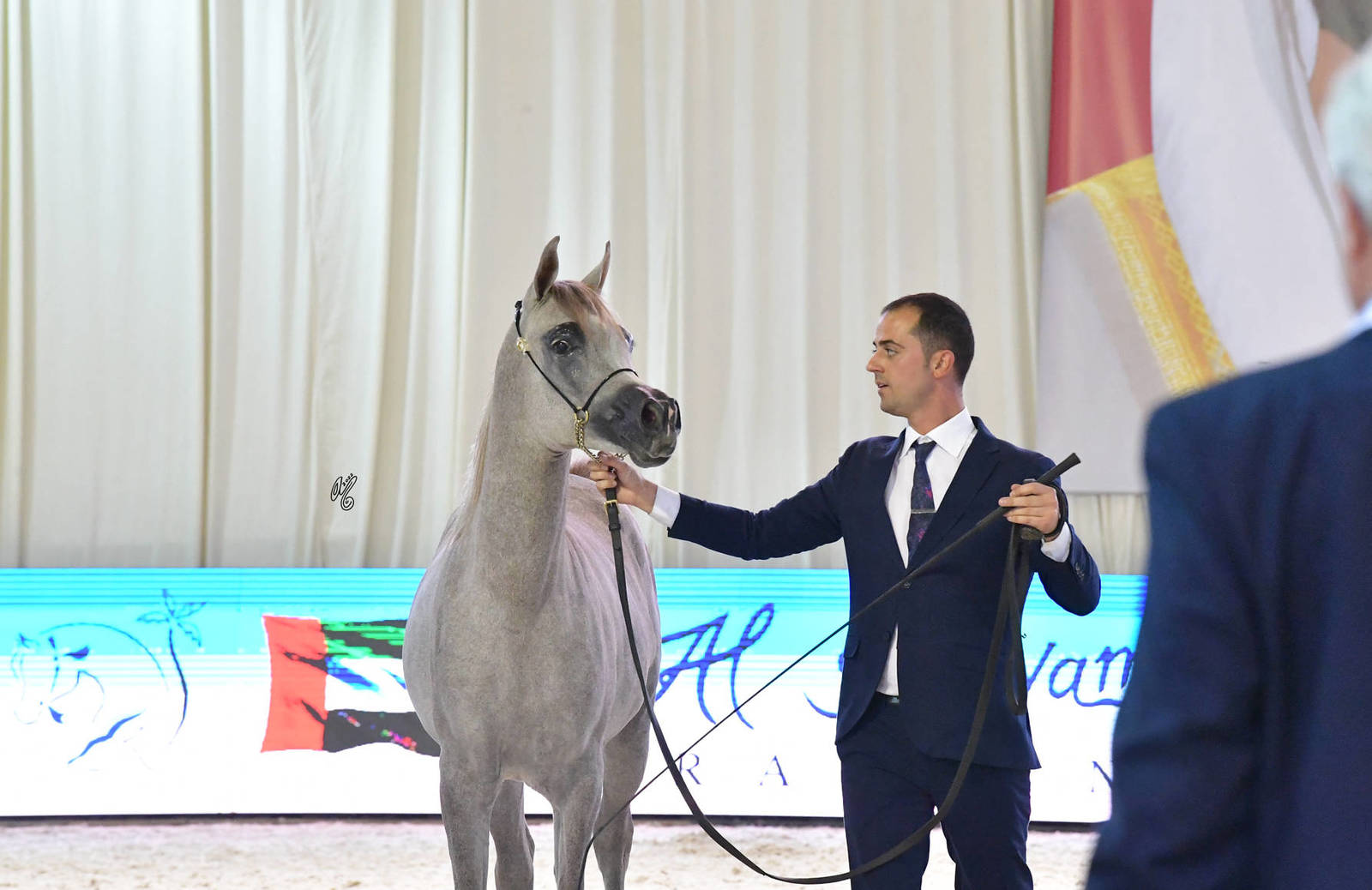 Yearling Filly: K Mazyounah 