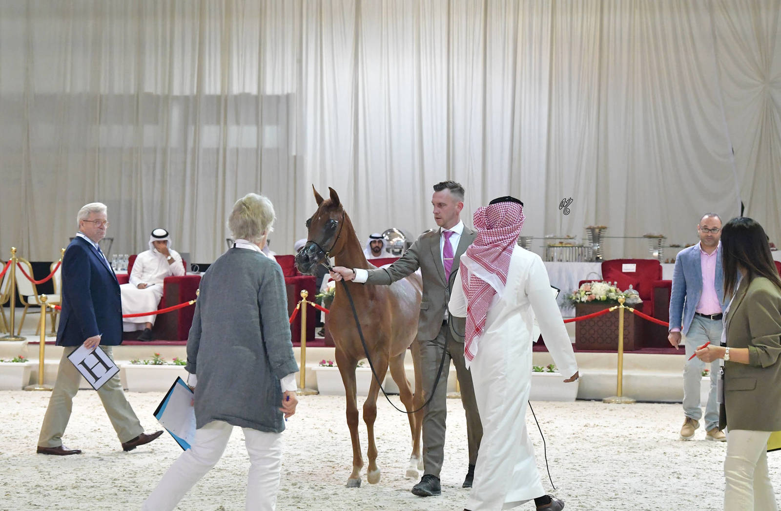 Yearling Filly: Sulafa Al Dar 