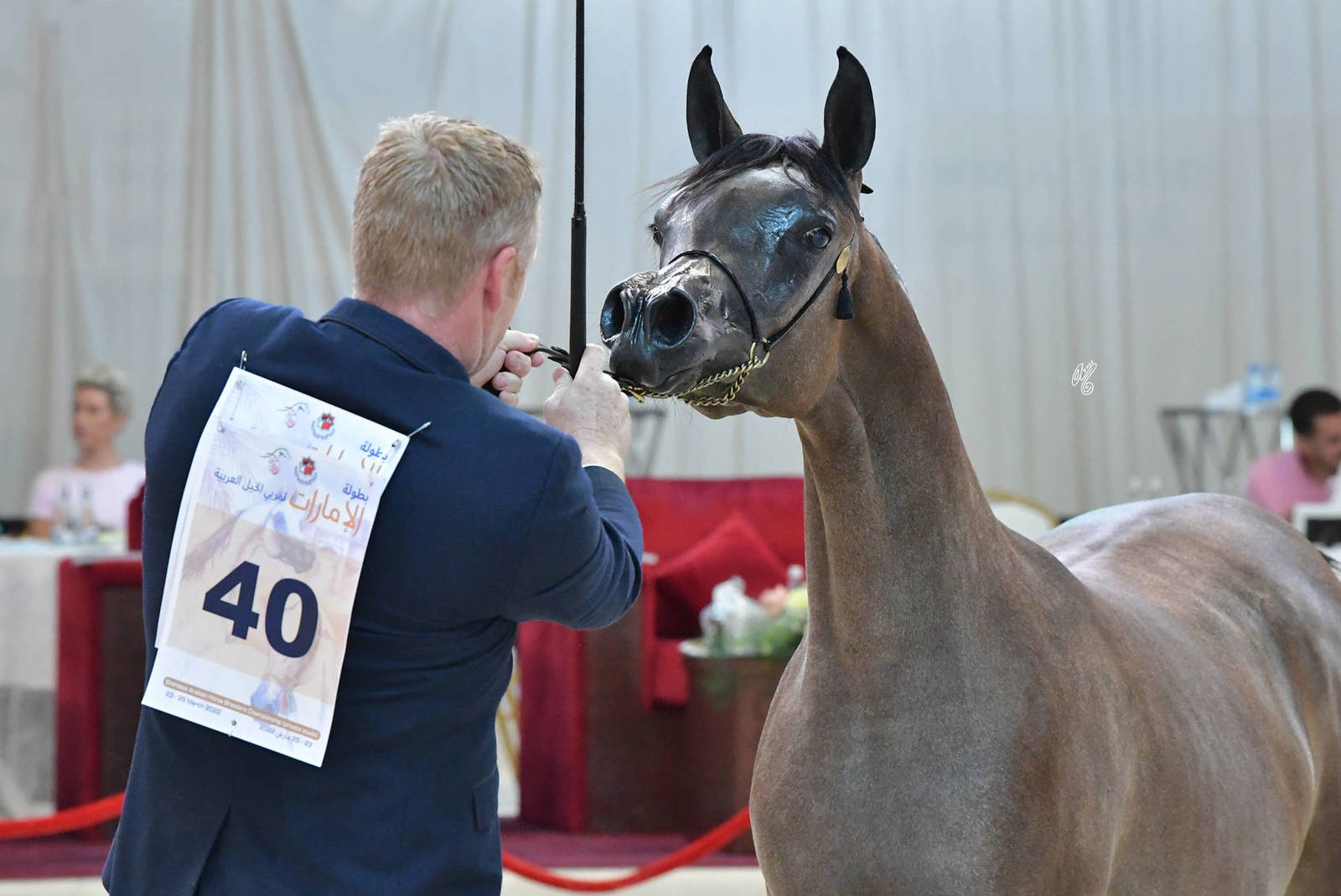 Yearling Filly: JS Zumoroda