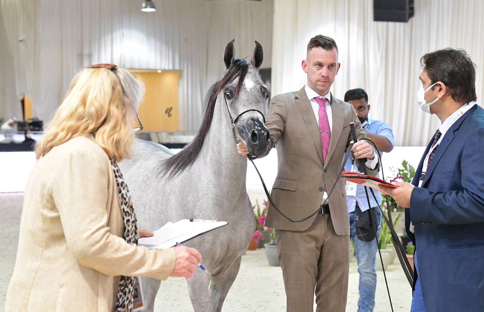 Yearling Filly: Danah Mohthab 
