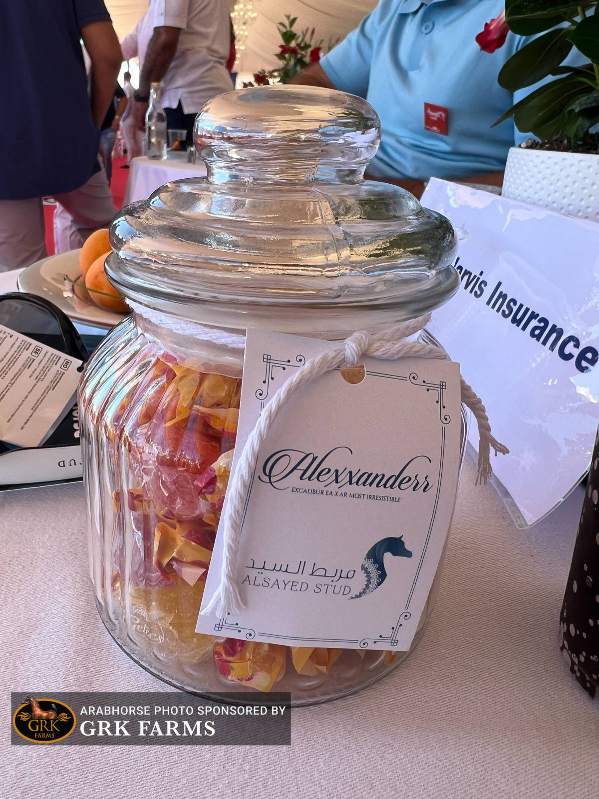 2022 Menton Show | Day 1 Photos