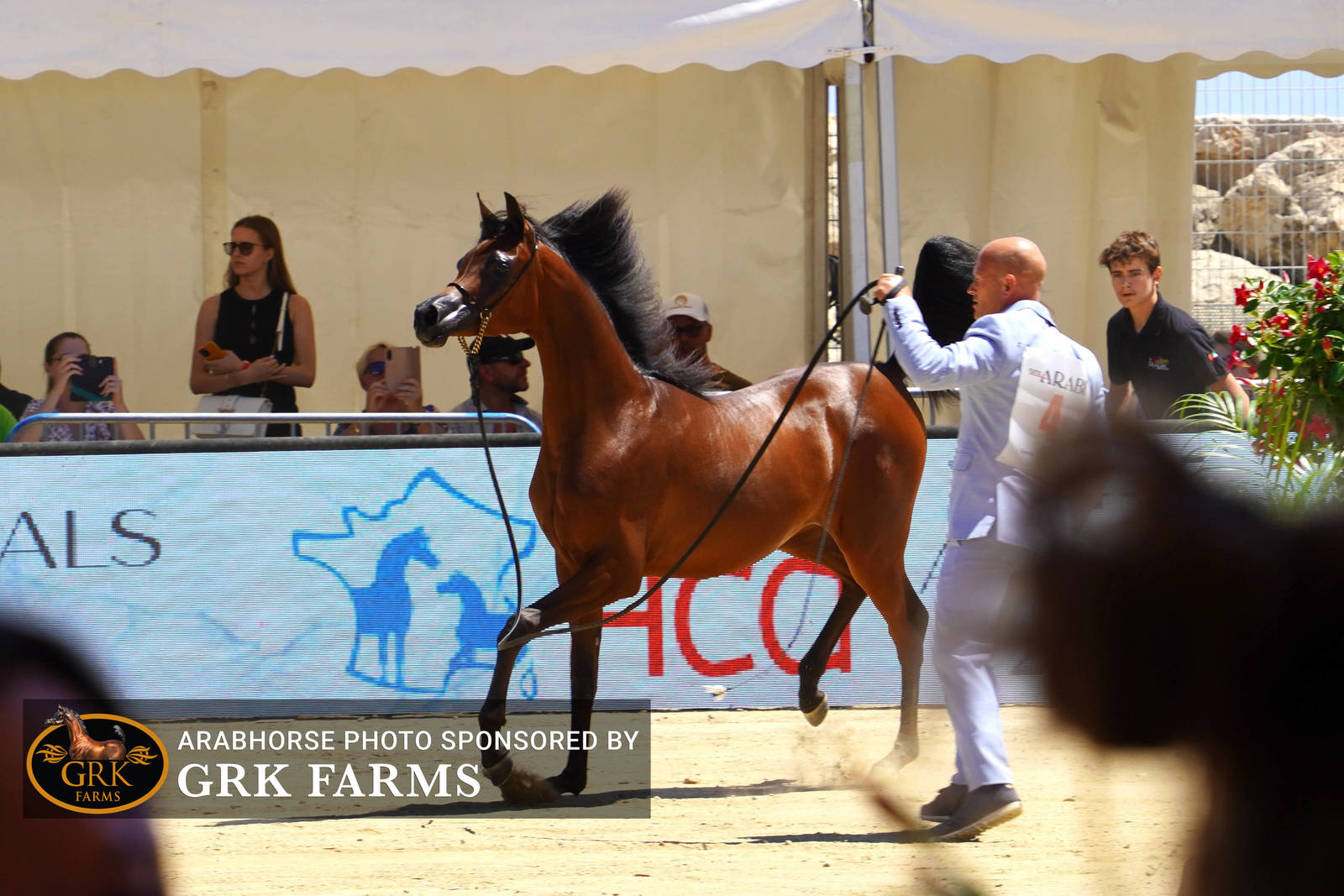 2022 Menton Show | Day 1 Photos