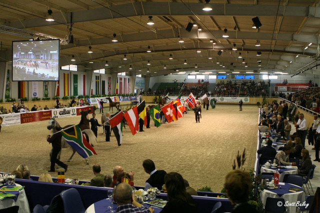 Flag Presentation - The All Nations Cup - Flags of all Nations