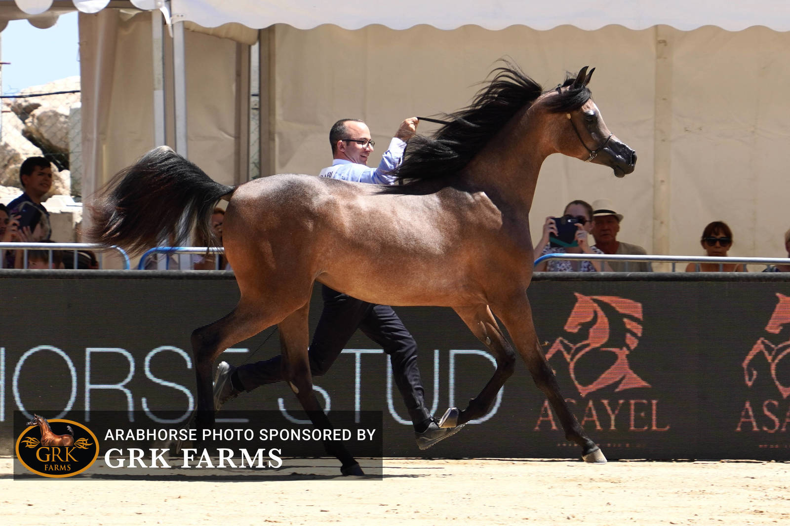 2022 Menton Show | Day 1 Photos