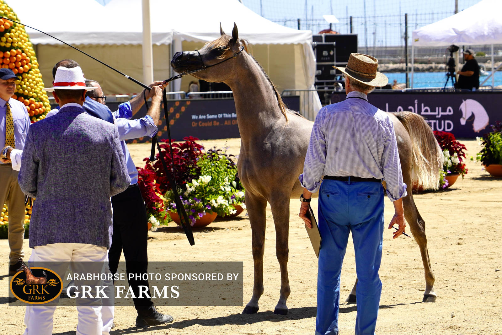 2022 Menton Show | Day 1 Photos