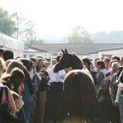 Kwestura - Kwestura
The Queen of Poland now owned by Ajman Stud at her party on Sunday