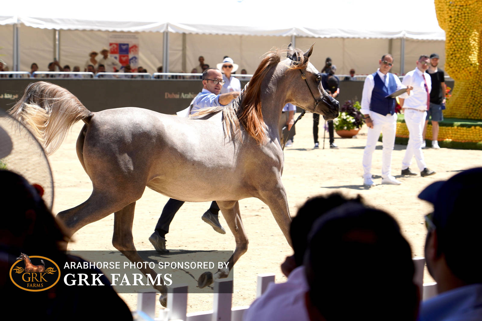 2022 Menton Show | Day 1 Photos