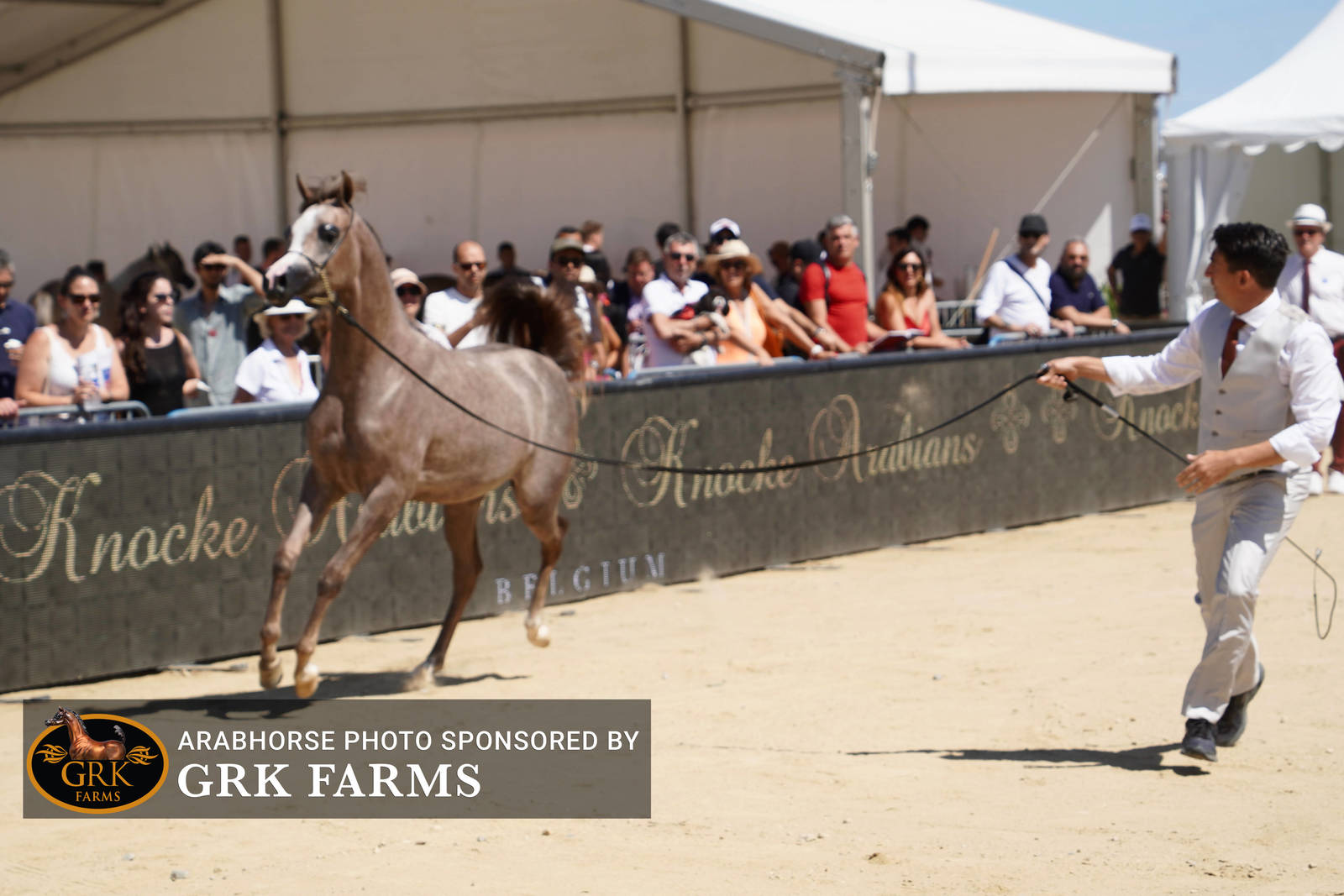 2022 Menton Show | Day 1 Photos