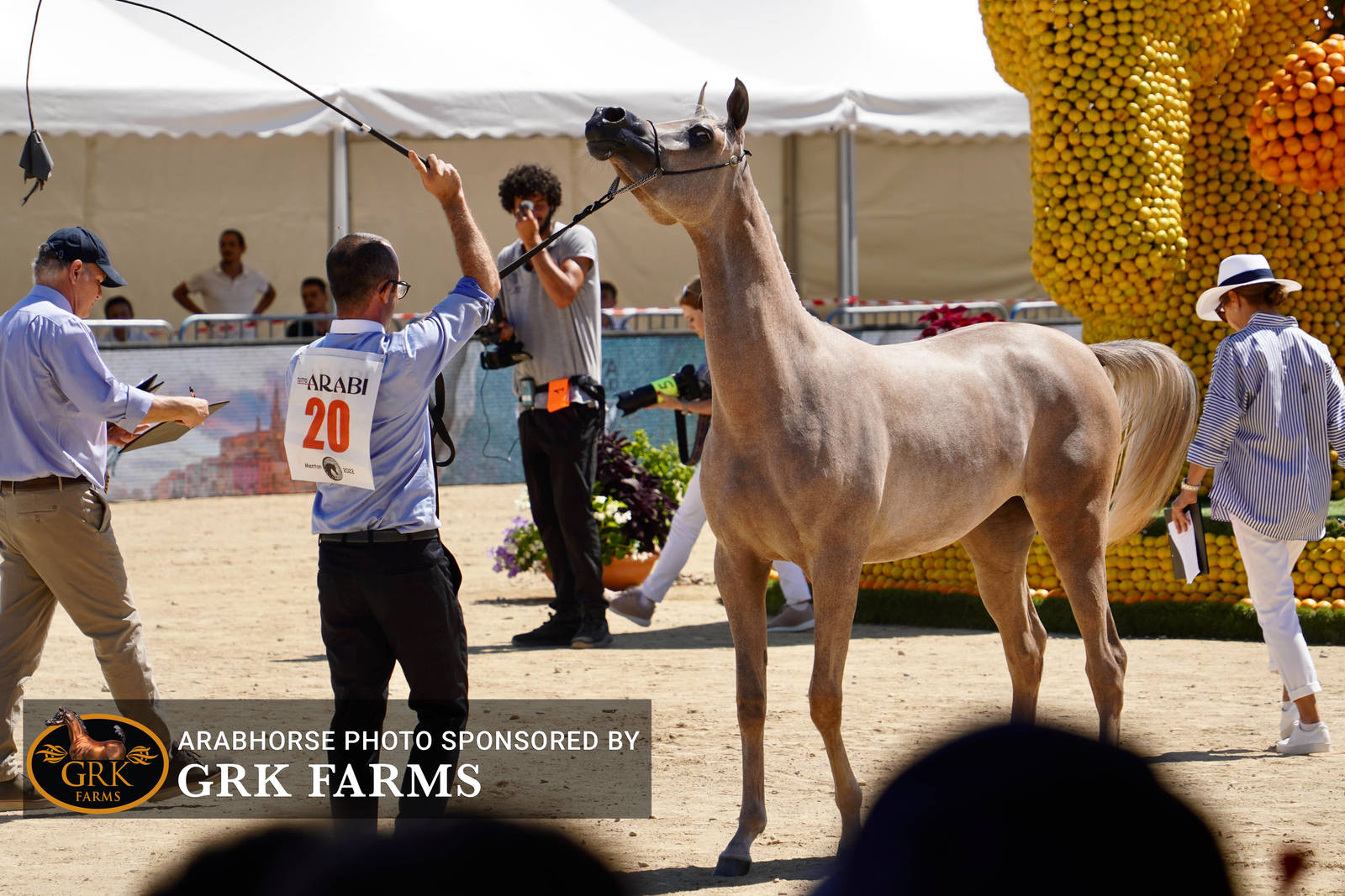 2022 Menton Show | Day 1 Photos