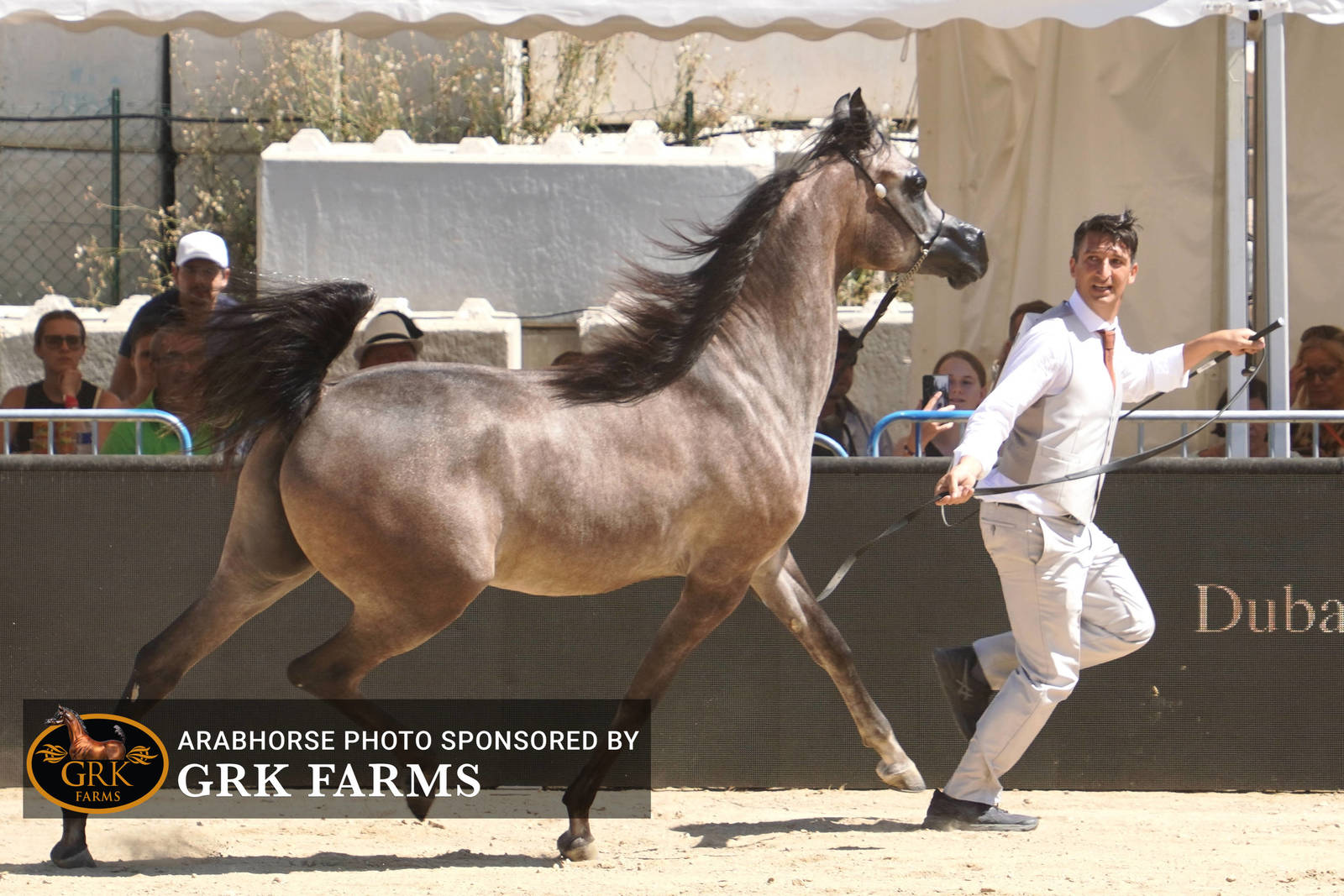 2022 Menton Show | Day 1 Photos