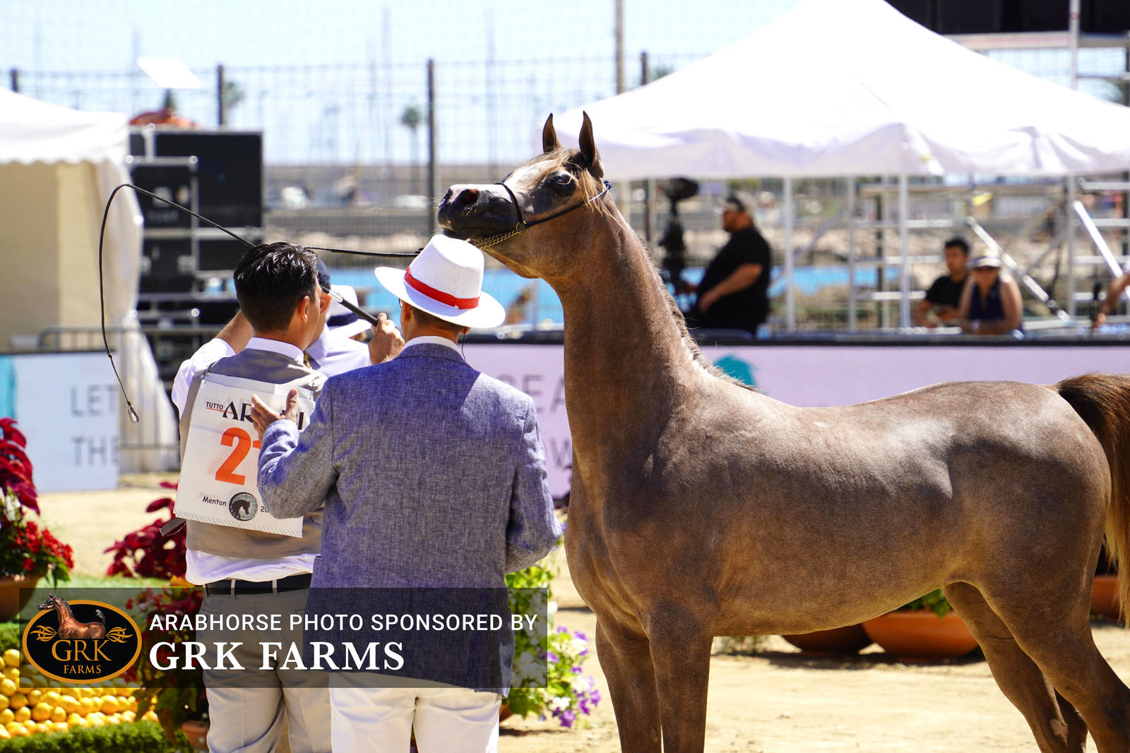 2022 Menton Show | Day 1 Photos