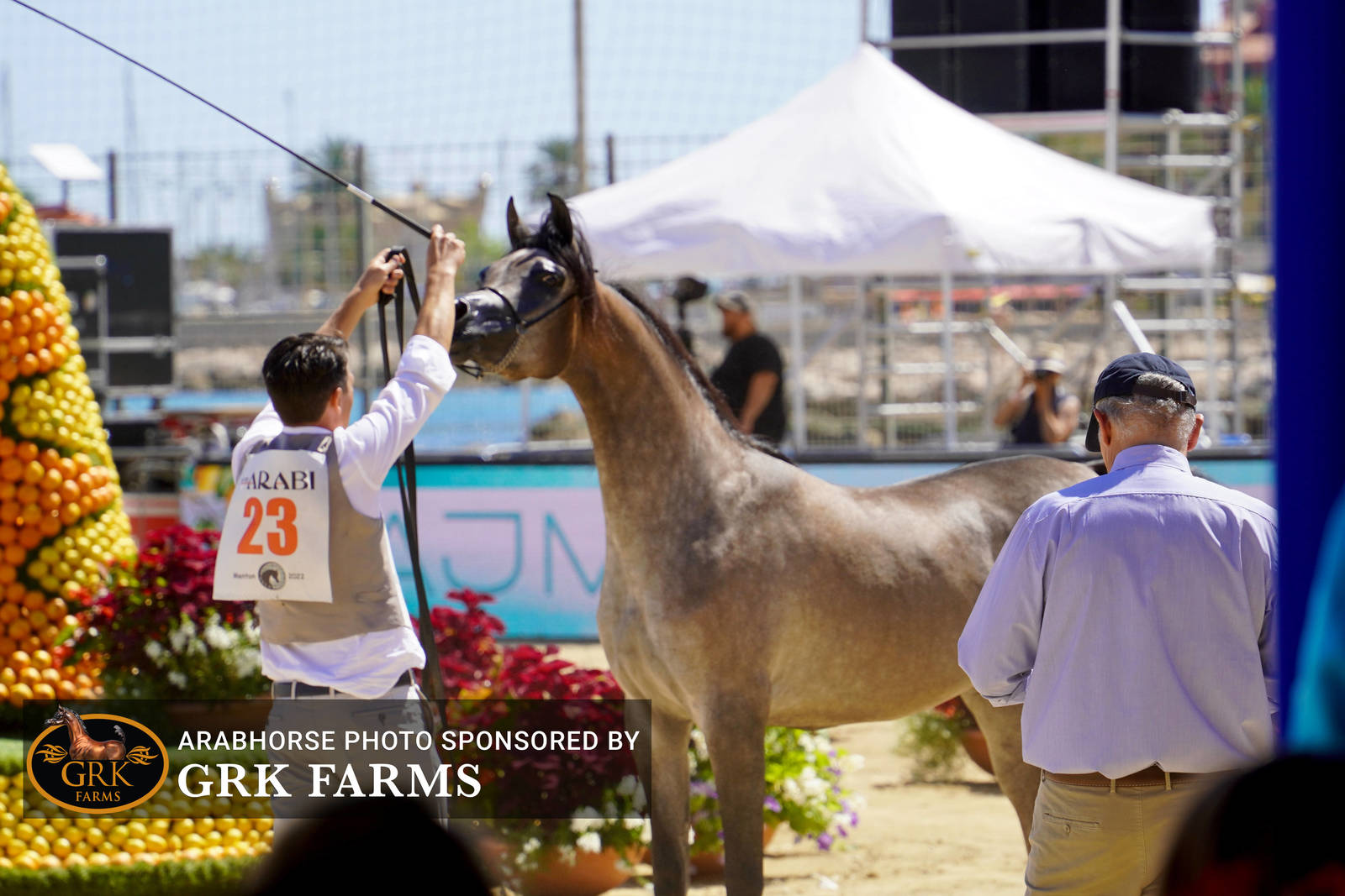 2022 Menton Show | Day 1 Photos