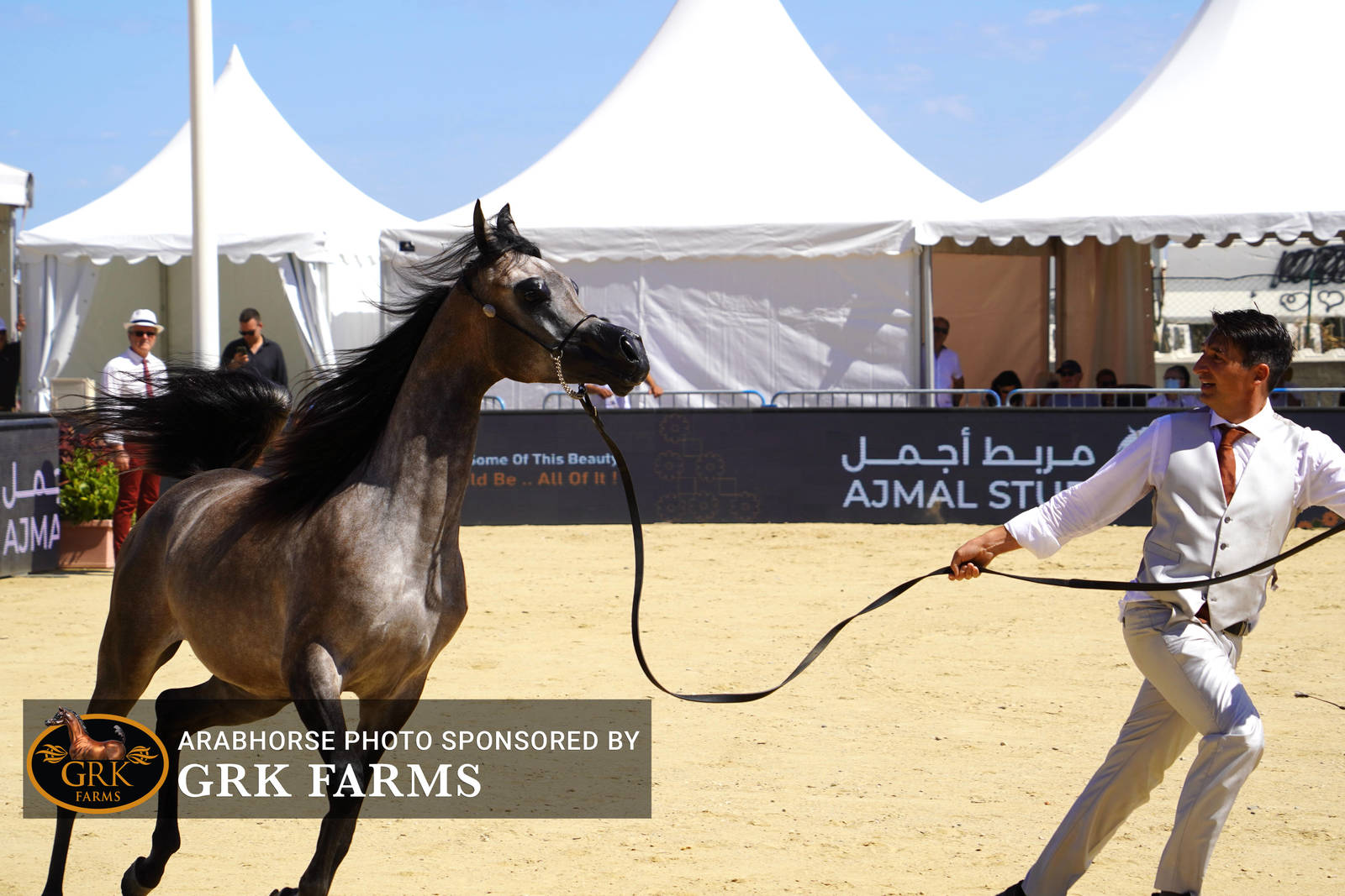 2022 Menton Show | Day 1 Photos