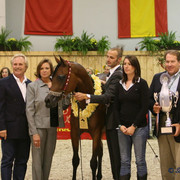 ABHA Palma - ABHA Palma
Reserve Jr. Champion Filly, owned by Al Mohamadia Stud, Prince Abdullah Bin Fahad Al Saud, KSA