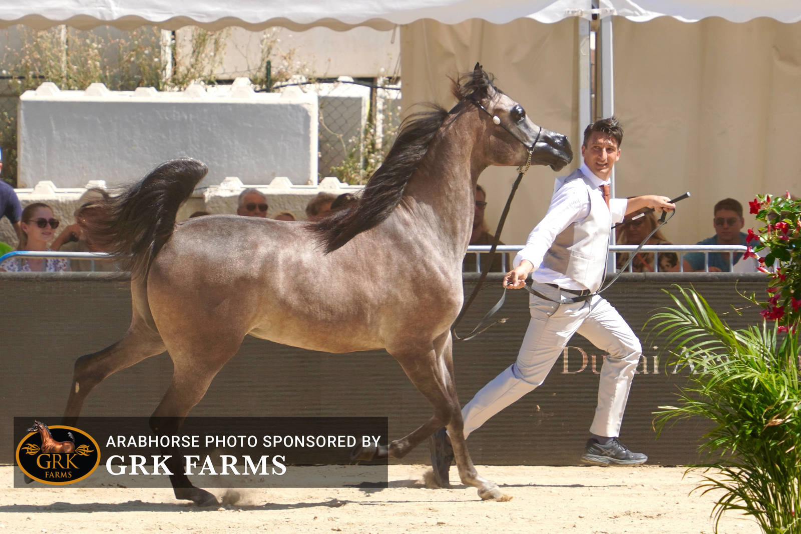 2022 Menton Show | Day 1 Photos