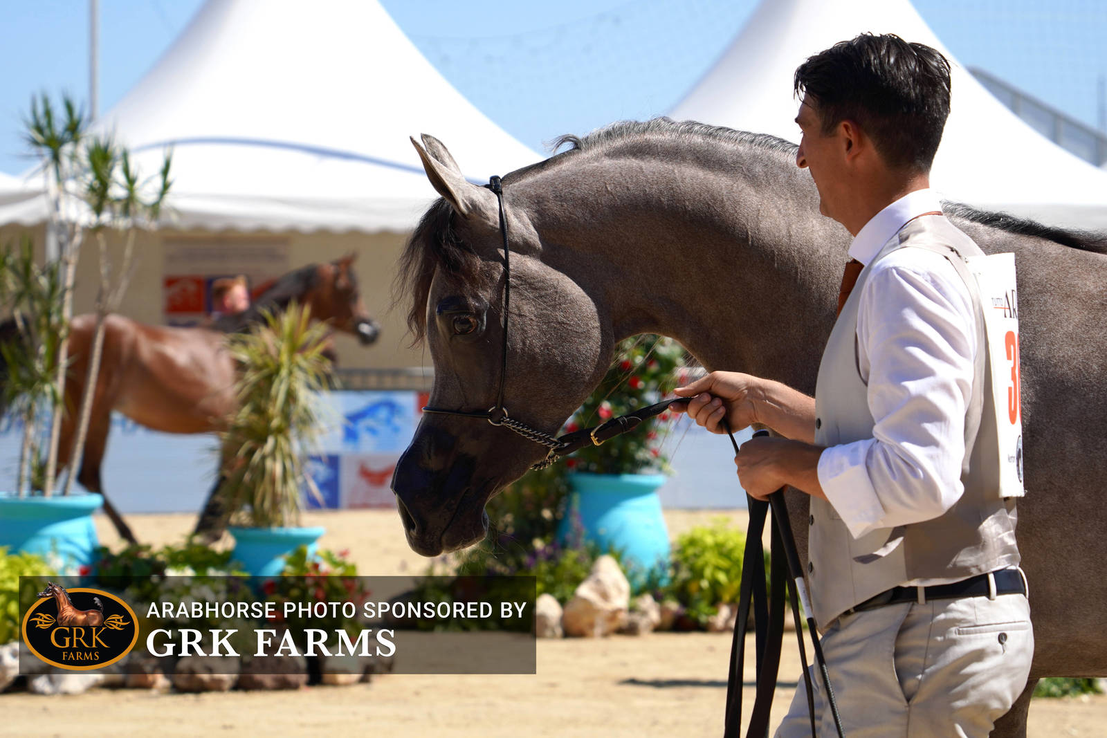 2022 Menton Show | Day 1 Photos