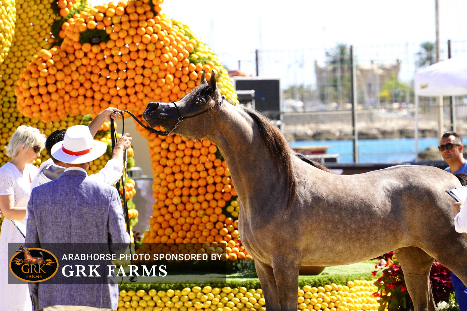 2022 Menton Show | Day 1 Photos