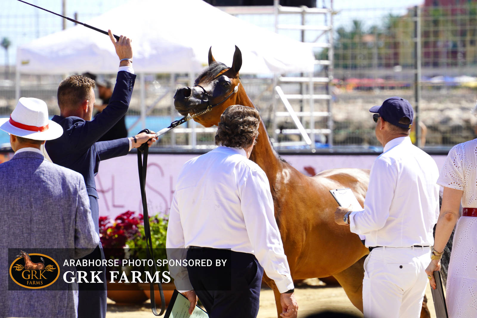 2022 Menton Show | Day 1 Photos