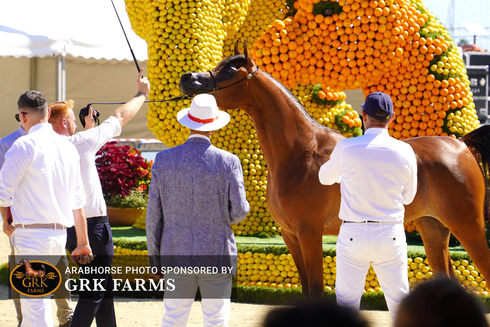 2022 Menton Show | Day 1 Photos