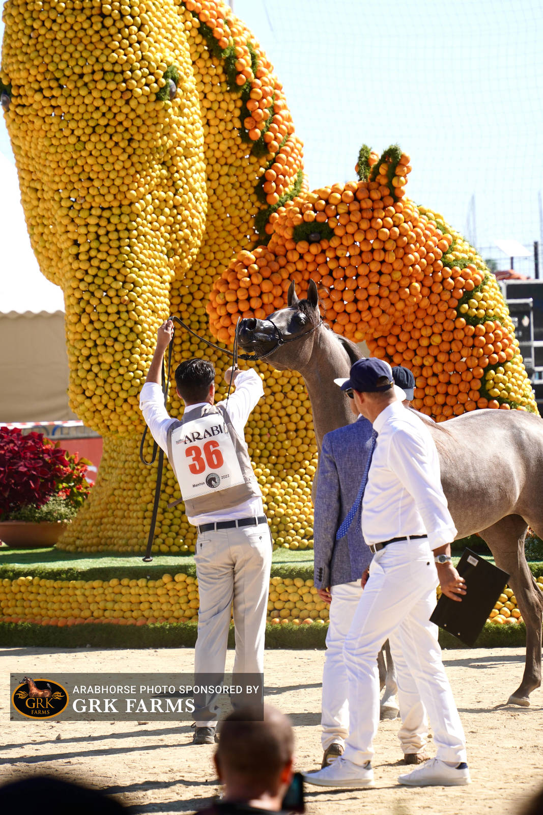 2022 Menton Show | Day 1 Photos