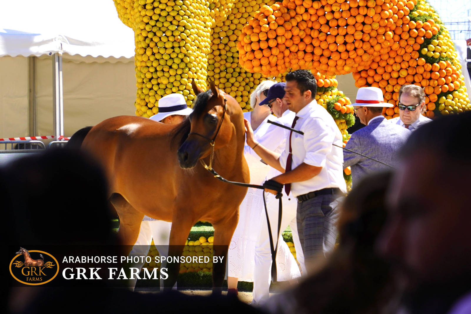 2022 Menton Show | Day 1 Photos