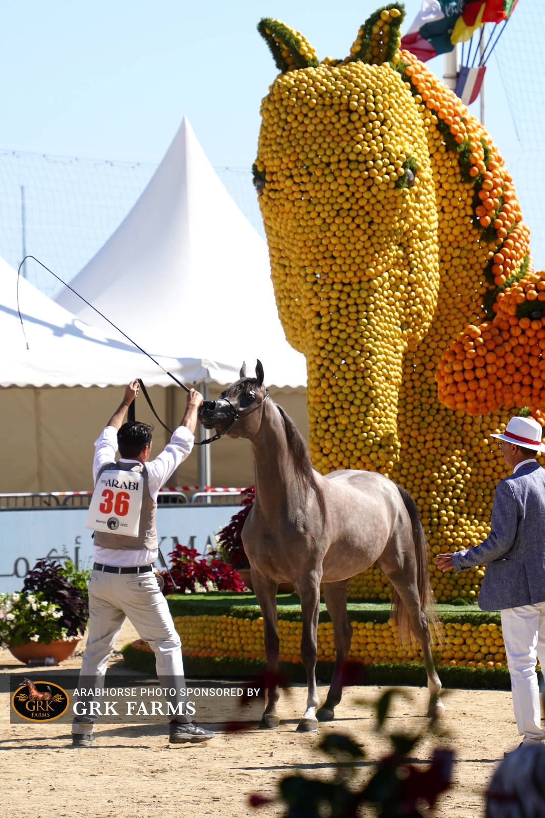 2022 Menton Show | Day 1 Photos