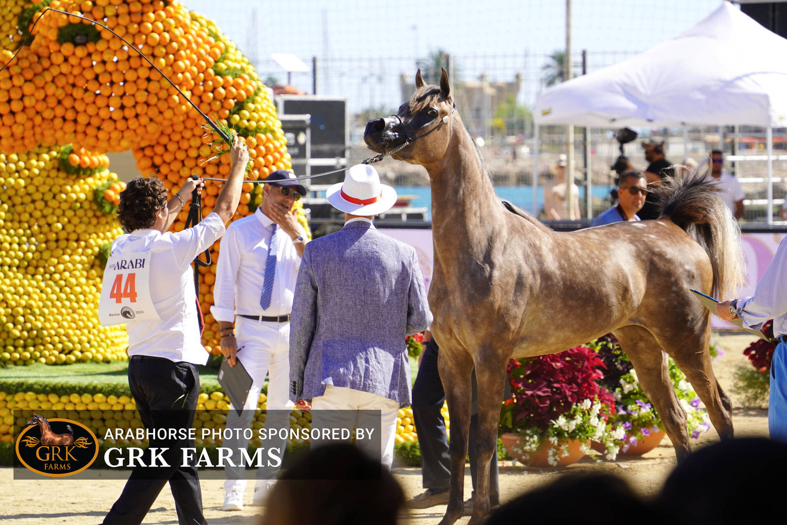 2022 Menton Show | Day 1 Photos
