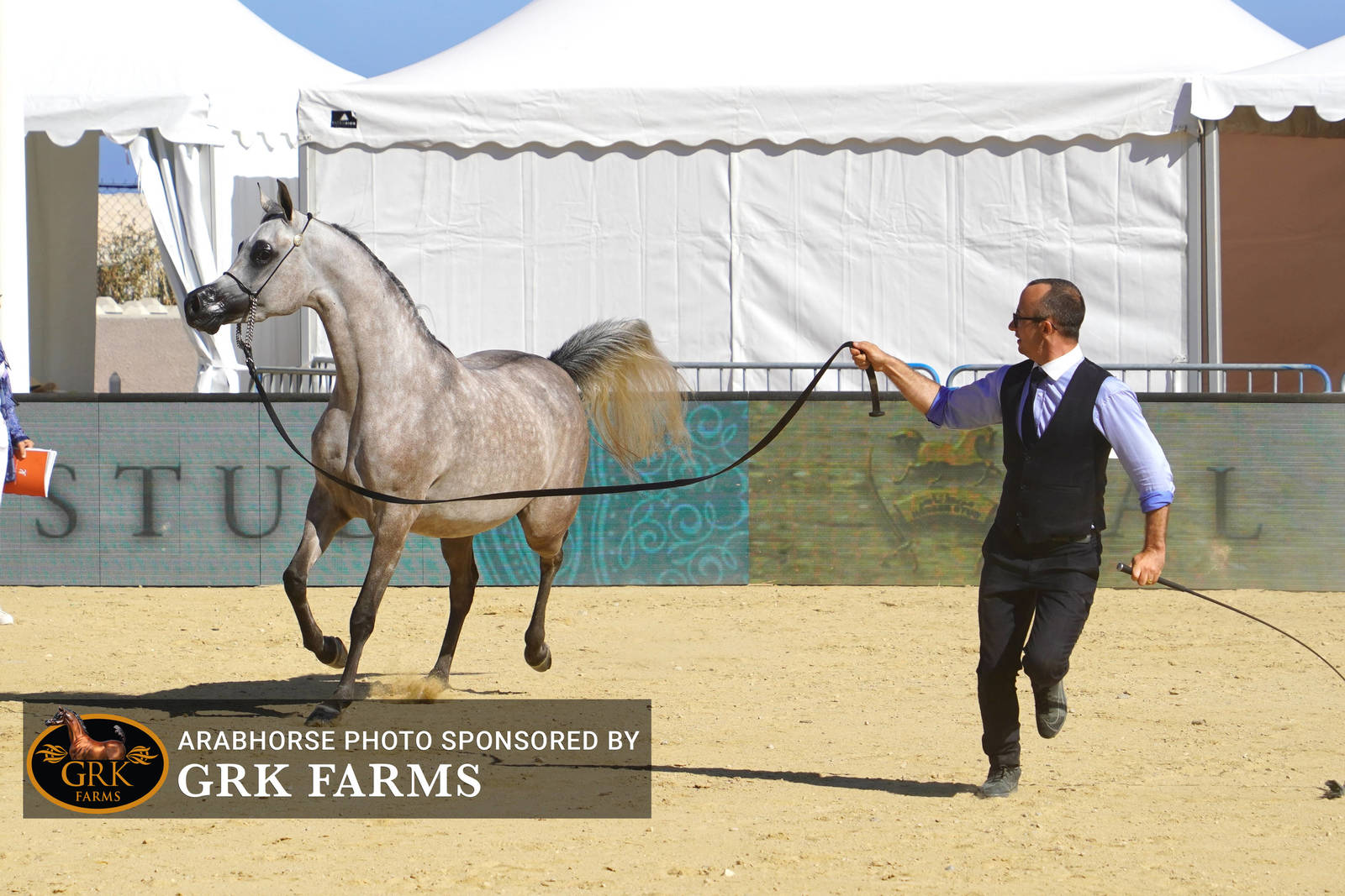 2022 Menton Show | Day 1 Photos