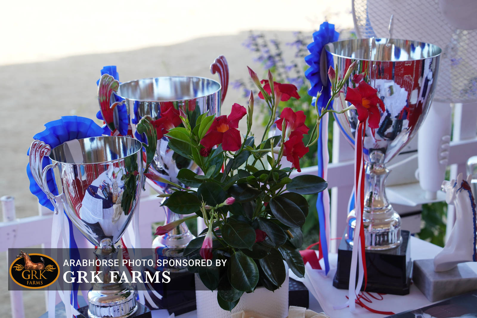 2022 Menton Show | Day 1 Photos