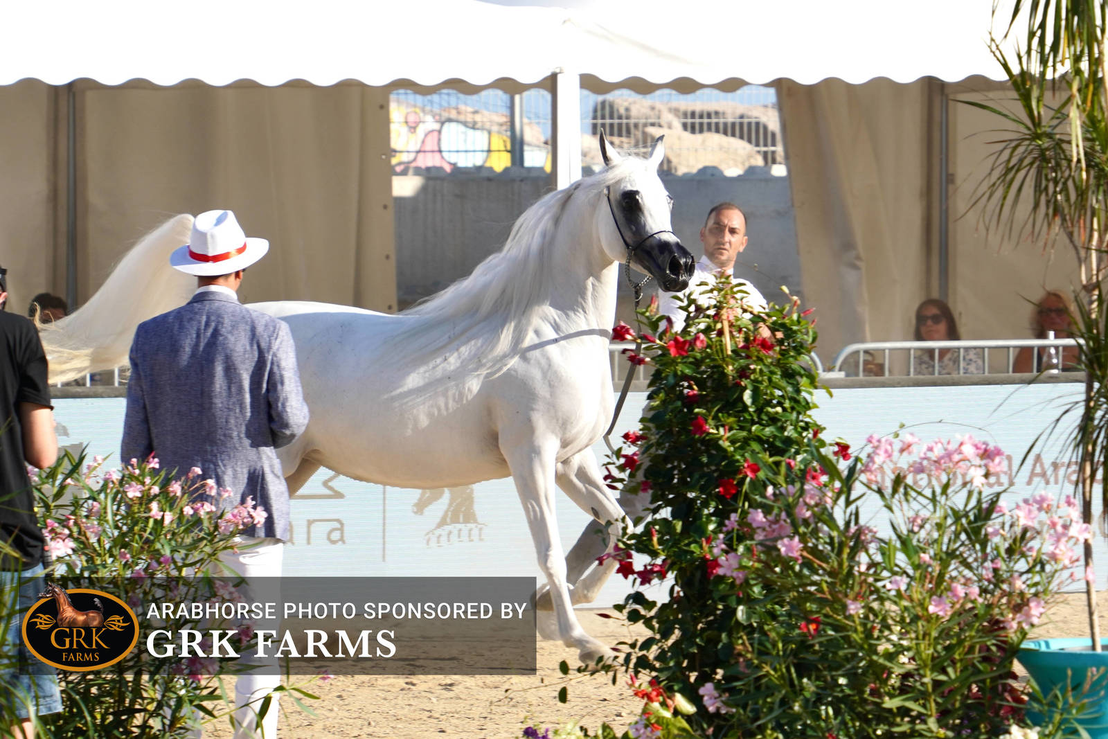 2022 Menton Show | Day 1 Photos