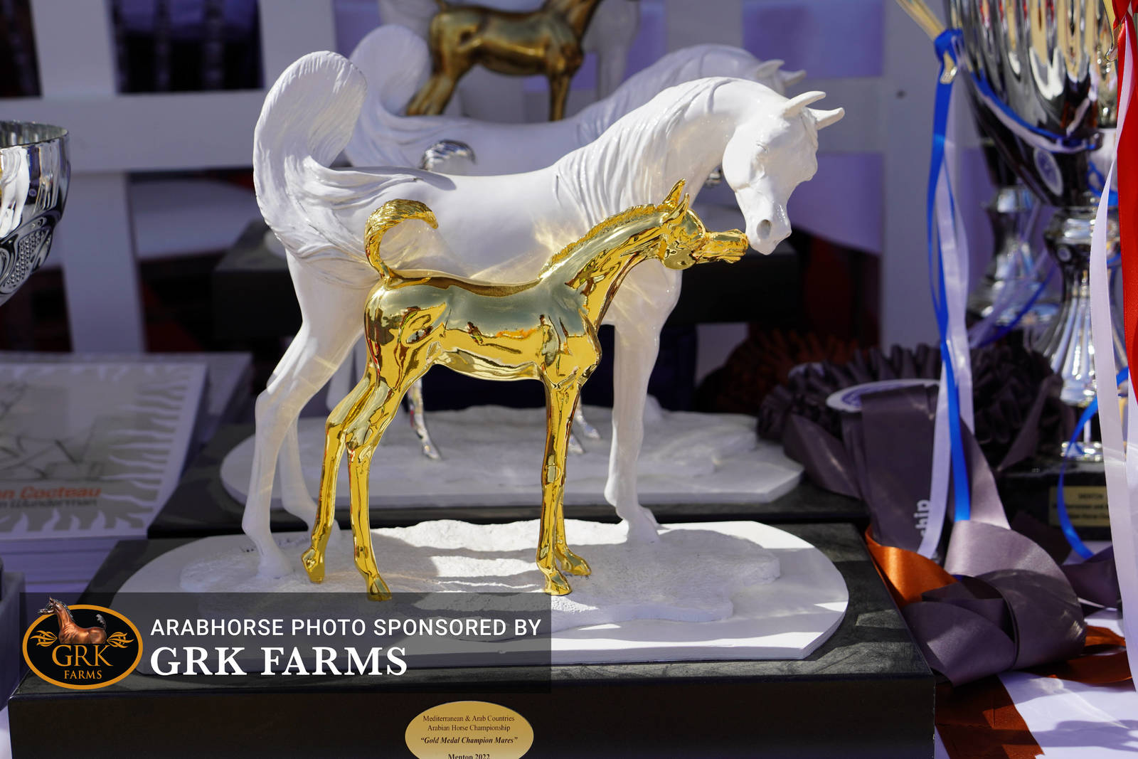 2022 Menton Show | Day 2 Photos