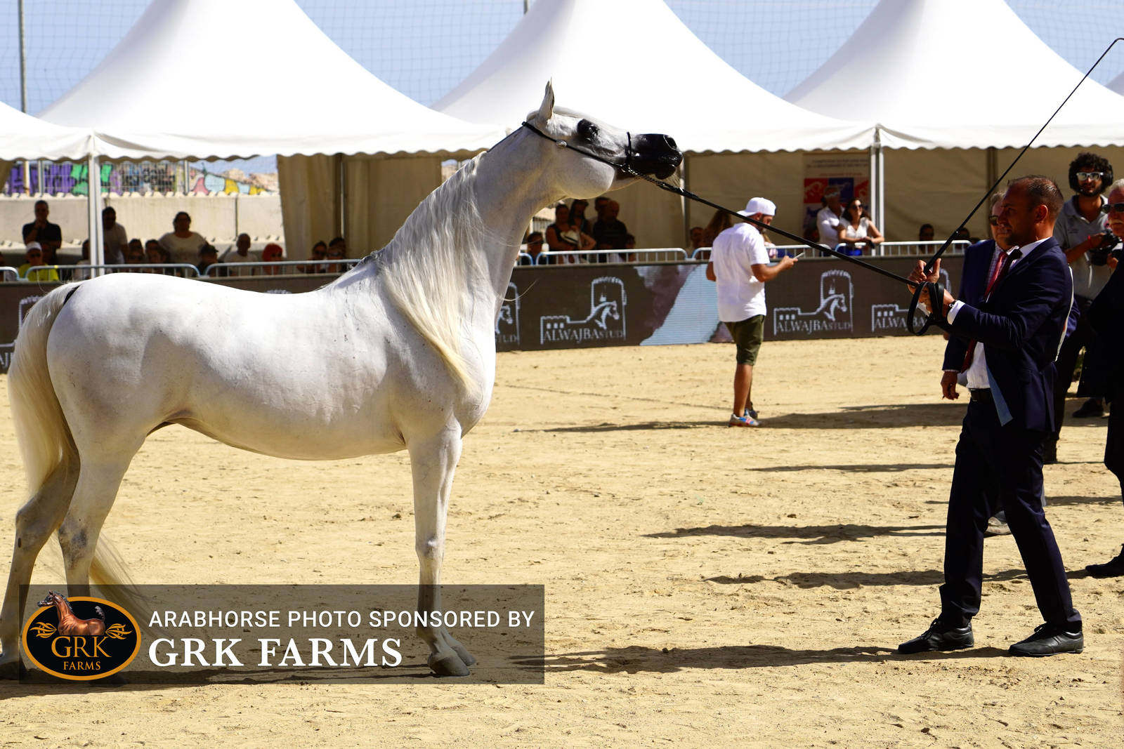 2022 Menton Show | Day 2 Photos