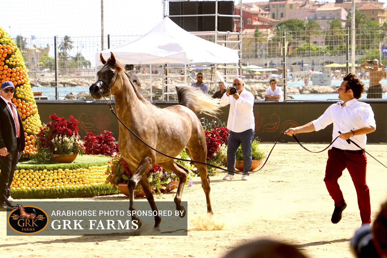 2022 Menton Show | Day 2 Photos