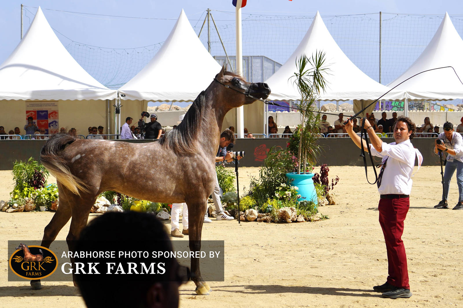 2022 Menton Show | Day 2 Photos