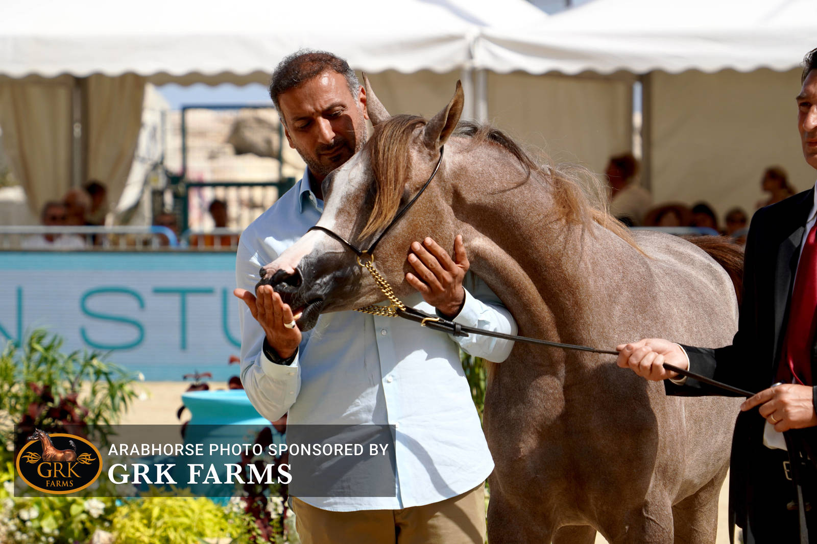 2022 Menton Show | Day 2 Photos