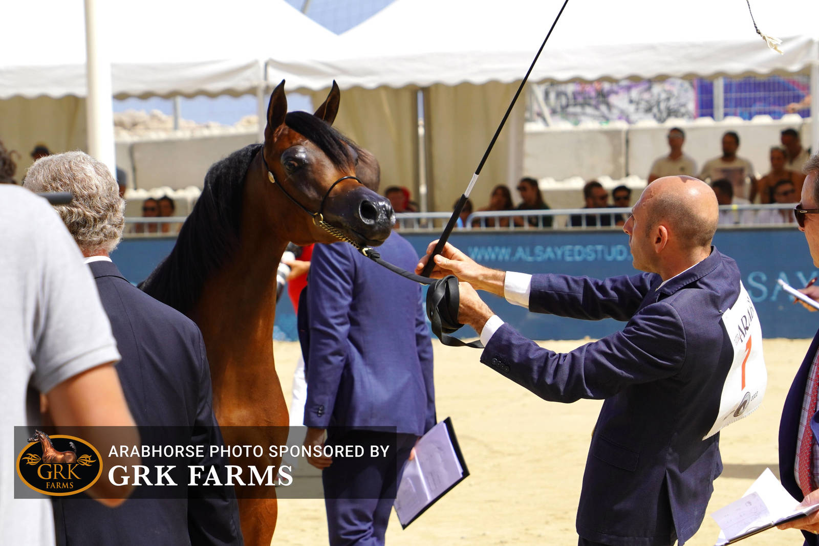 2022 Menton Show | Day 2 Photos