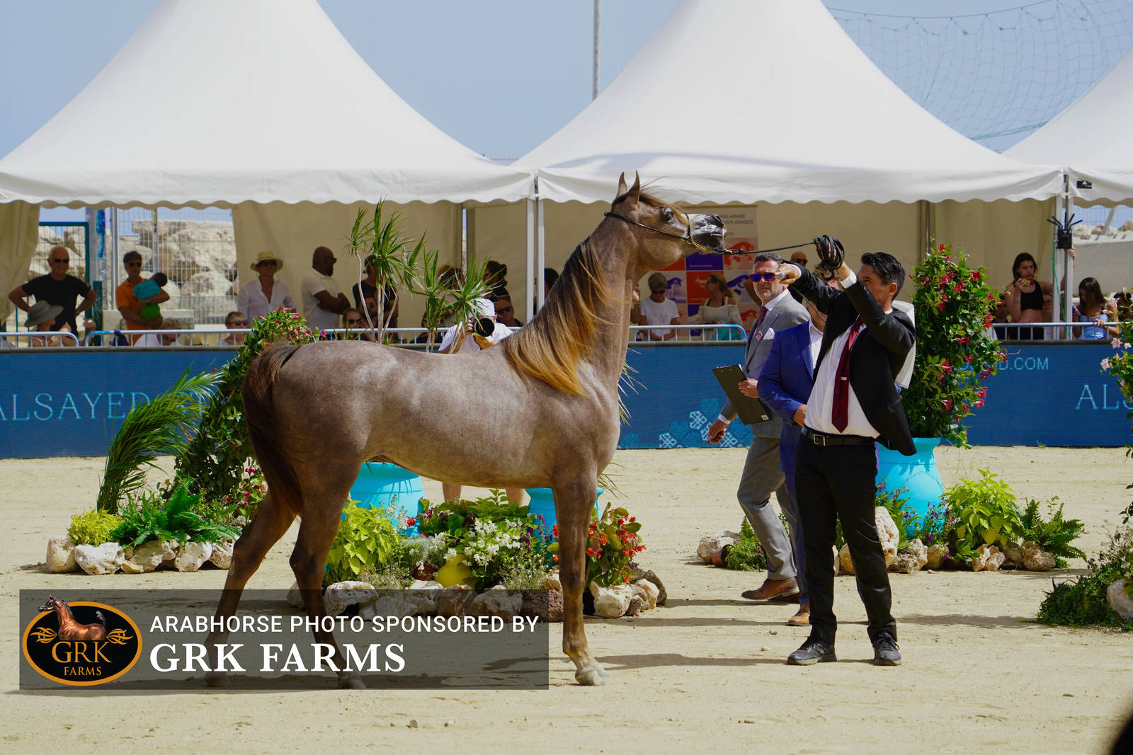 2022 Menton Show | Day 2 Photos