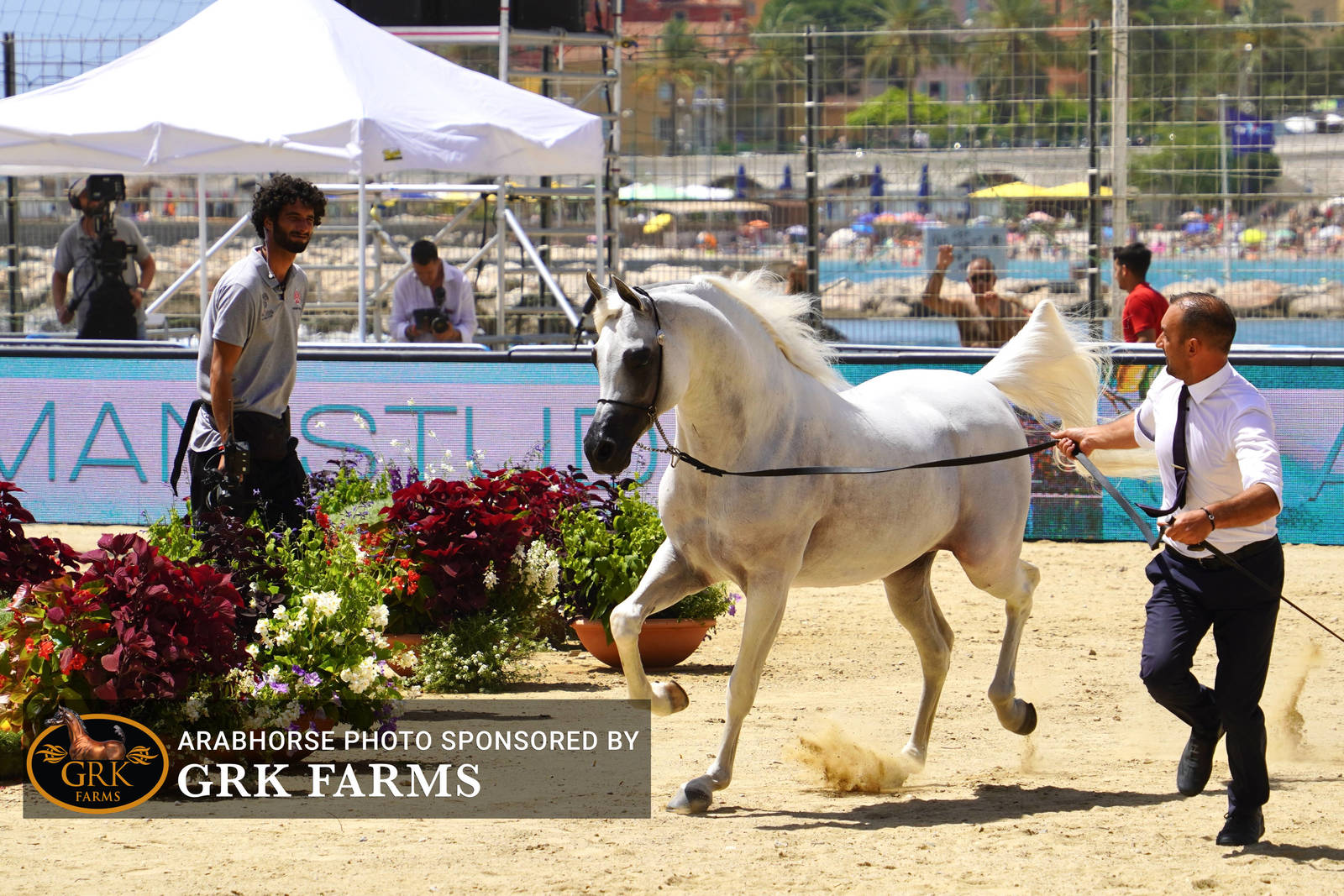 2022 Menton Show | Day 2 Photos