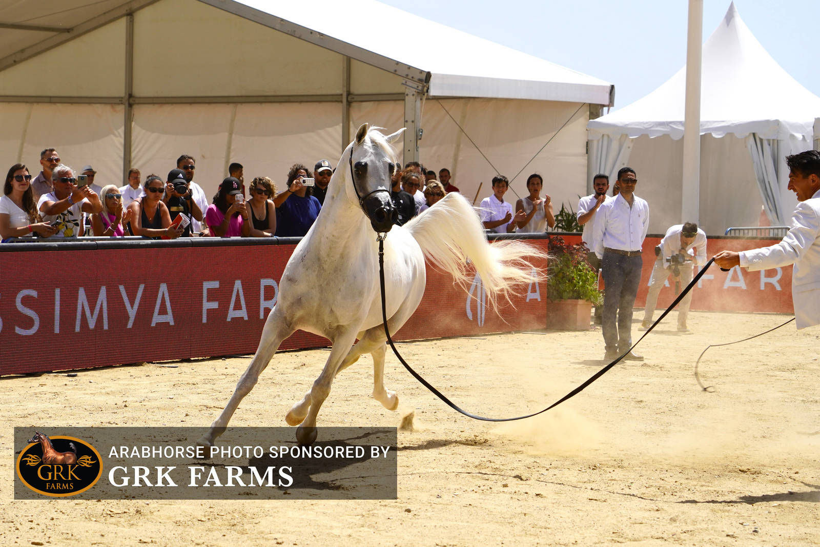 2022 Menton Show | Day 2 Photos