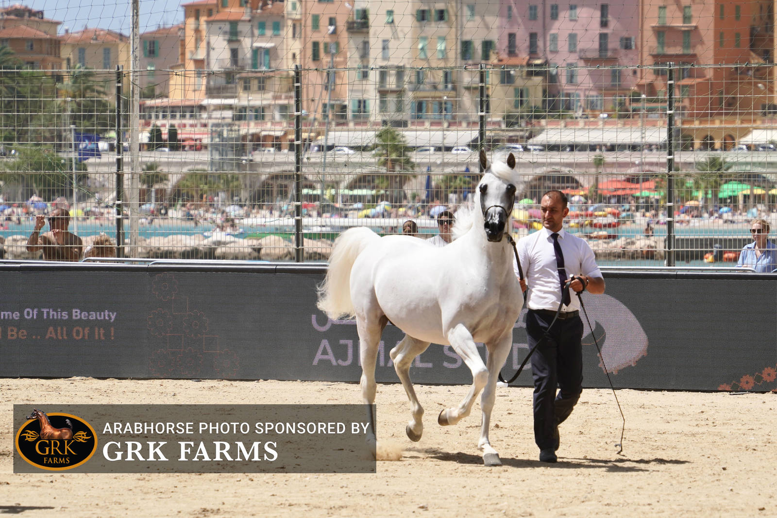 2022 Menton Show | Day 2 Photos